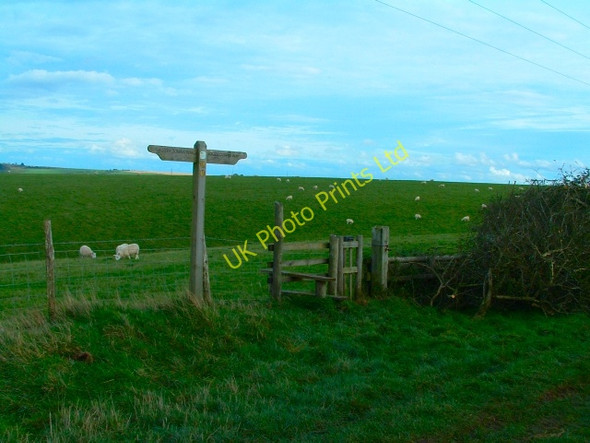Photo 6"x4" South Downs Way, East Meon, Hampshire Coombe\/SU6620 c2005