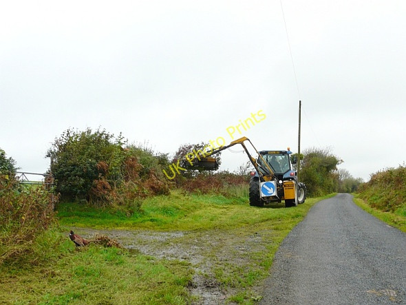 Photo 6"x4" Pheasant and verge trimmer, Gelli Fawr Road Five Roads c2008