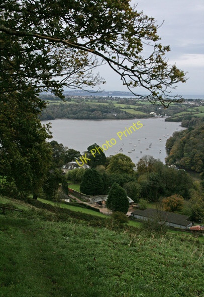 Photo 6"x4" River Farm looking to Galmpton Creek Dittisham c2008