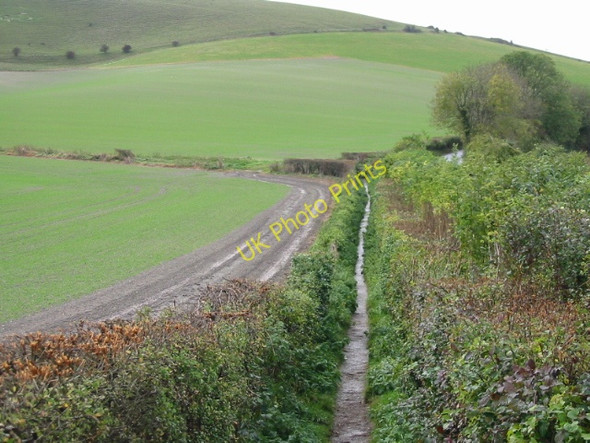 Photo 6"x4" View along footpath at Wilmington Wilmington\/TQ5404 c2008