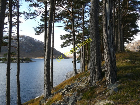 Photo 6"x4" Loch Monar Meall an Tairbh\/NH2039 c2008