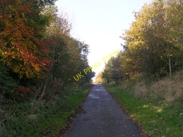 Photo 6"x4" Footpath - Moor Lane, Birkenshaw Birkenshaw Bottoms c2008
