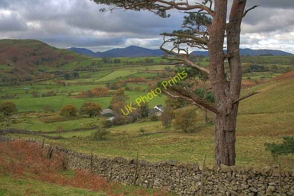 Photo 6"x4" View Down on Sykes Dale Bottom\/NY2921 c2008