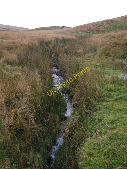 Photo 6"x4" Nascent Ystwyth Gors Lwyd c2008