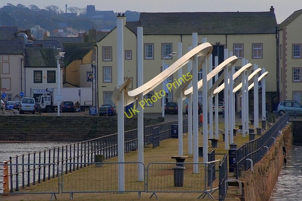 Photo 6"x4" Lime Tongue Whitehaven\/NX9718 c2008