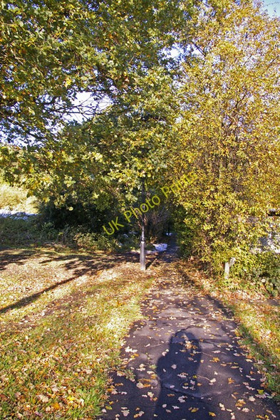 Photo 6"x4" Footpath near Boxer's Lake, Enfield Southgate\/TQ3094 c2008