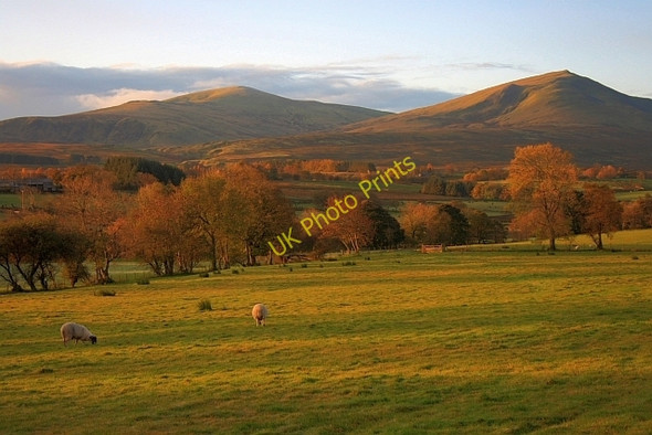 Photo 6"x4" Pasture Near Hutton Moor End Scales\/NY3426 c2008 P1