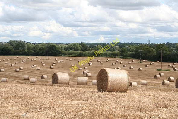 Photo 6"x4" Straw Bales, Callow End Callow End c2007