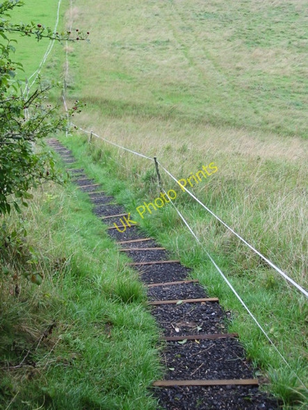 Photo 6"x4" Footpath steps down the bank Elham c2008