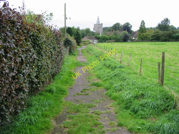 Photo 6"x4" View towards Elham along Cock Lane Elham c2008