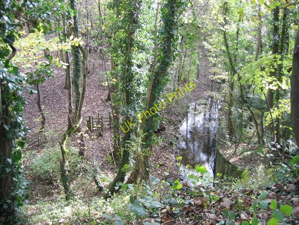 Photo 6"x4" Stream and woodland at Moss Valley Country Park Wrexham\/Wrecsam c2008