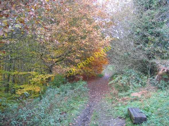 Photo 6"x4" Footpath and bench at Moss Valley Country Park Wrexham\/Wrecsam c2008
