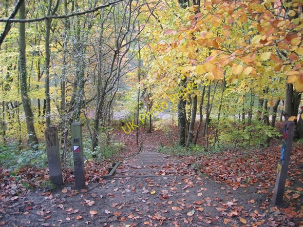 Photo 6"x4" Steps between footpaths at Moss Valley Country Park Wrexham\/Wrecsam c2008