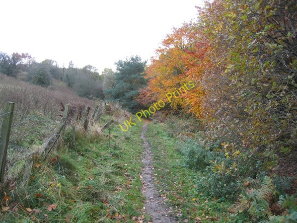 Photo 6"x4" Footpath at Moss Valley Country Park Wrexham\/Wrecsam c2008