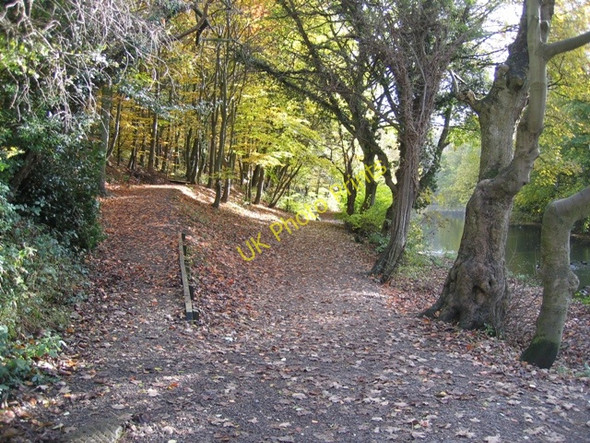 Photo 6"x4" Two paths at Moss Valley Country Park Wrexham\/Wrecsam c2008