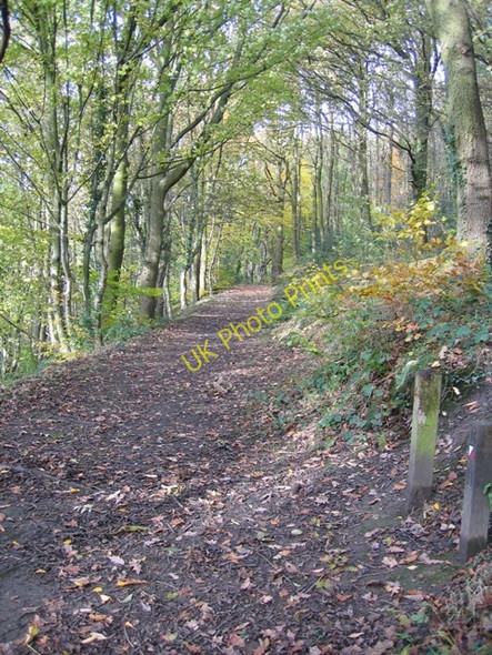 Photo 6"x4" Footpath at Moss Valley Country Park Wrexham\/Wrecsam c2008