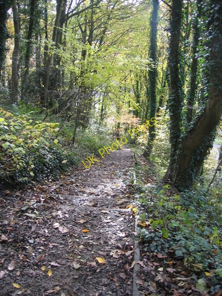 Photo 6"x4" Steps down at Moss Valley Country Park Wrexham\/Wrecsam c2008