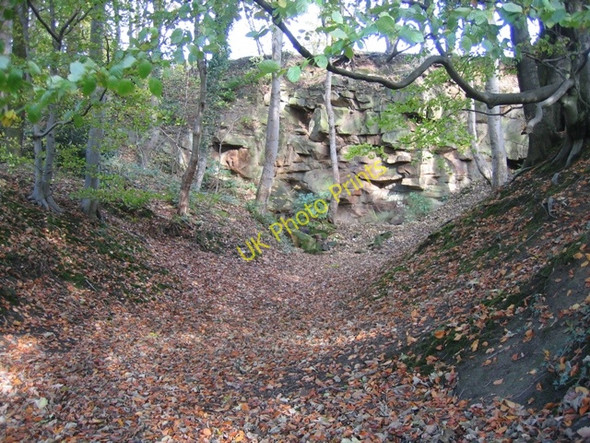 Photo 6"x4" Disused quarry at Moss Valley Country Park Wrexham\/Wrecsam c2008
