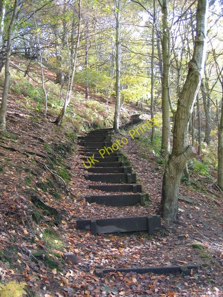 Photo 6"x4" Flight of steps at Moss Valley Country Park Wrexham\/Wrecsam c2008