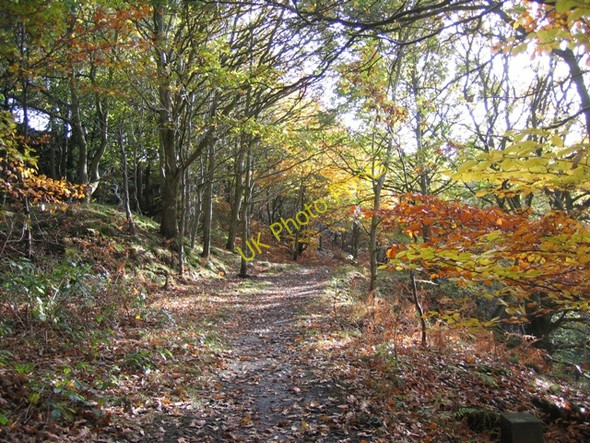 Photo 6"x4" View along the upper footpath at Moss Valley Country Park Wrexham\/Wrecsam c2008