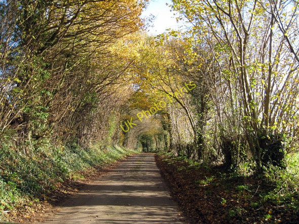 Photo 6"x4" Lane off Windmill Hill, Ulcombe, Kent Fairbourne Heath c2008