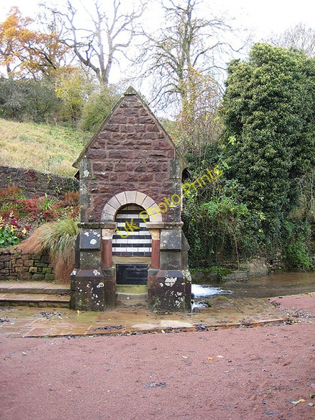 Photo 6"x4" Spring at Clearwell Clements End c2008