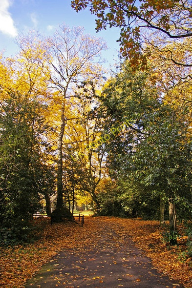 Photo 6"x4" Oakwood Park, London N14 Southgate\/TQ3094 c2008 P1