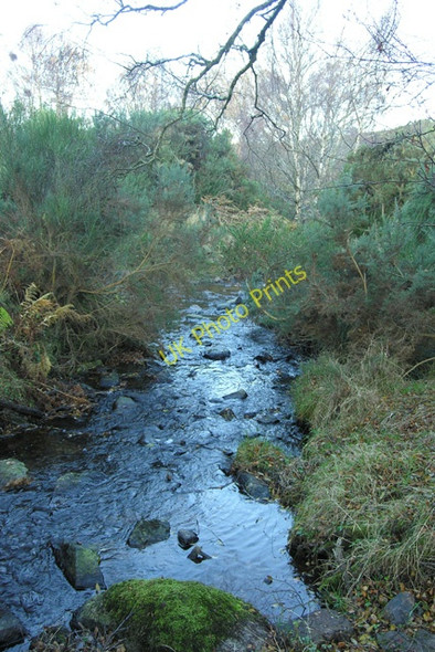Photo 6"x4" Burn of Cantraydoune, looking downstream Cantraywood c2008