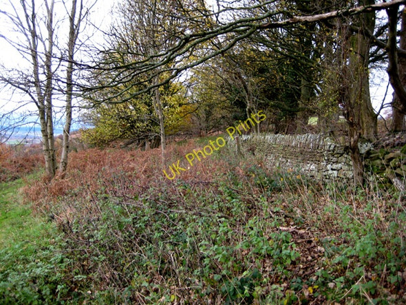 Photo 6"x4" Boundary wall Kerne Bridge c2008