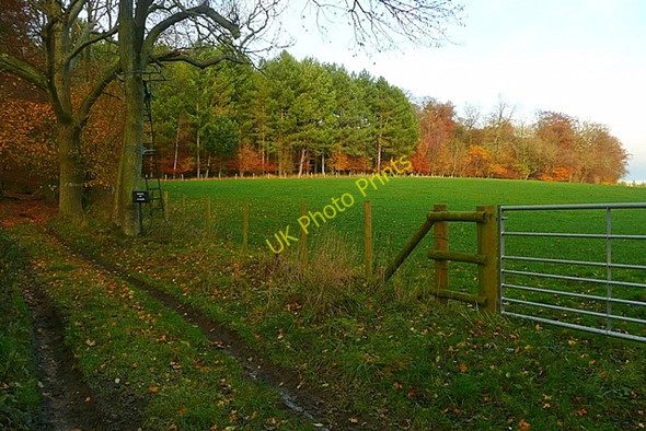 Photo 6"x4" Track at Offal Wood Bix c2008