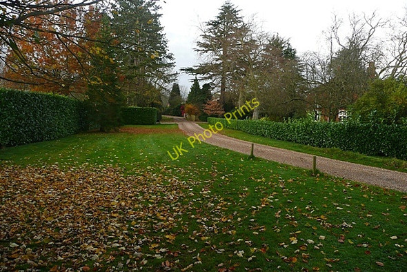 Photo 6"x4" Springwood Lane Rotherfield Peppard c2008