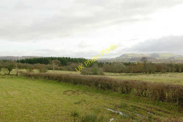 Photo 6"x4" Fields near Lletty Wood Llandrindod Wells\/Llandrindod c2008