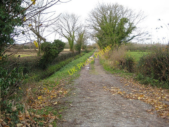 Photo 6"x4" Track to deciduous wood Shelwick c2008