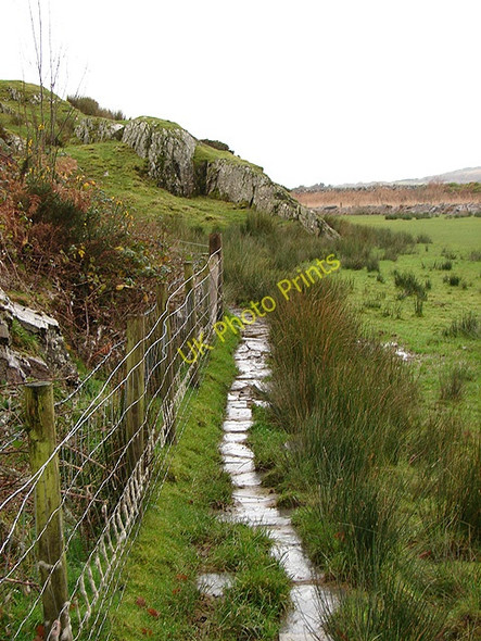 Photo 6"x4" Footpath to Bryn Glas Bryn Bwbach c2008