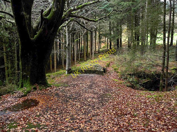 Photo 6"x4" Site of old bridge over the Nant Peiran Cwmystwyth c2008