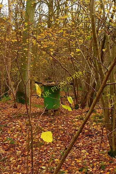 Photo 6"x4" In The Gully Anvilles c2008 P1