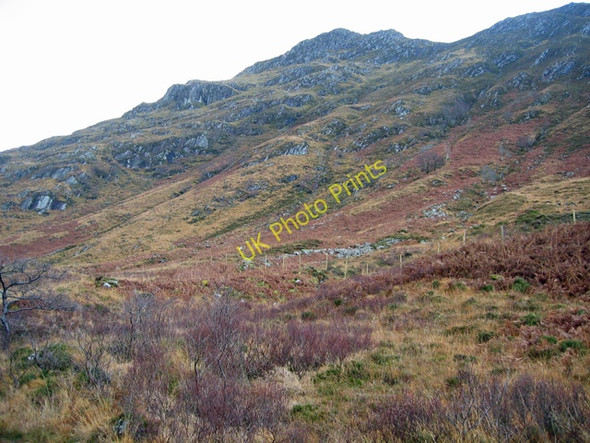 Photo 6"x4" Biod an Fhithich Shiel Bridge\/NG9318 c2008