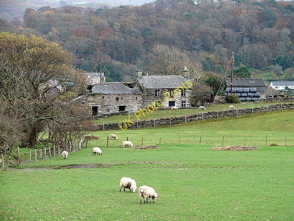 Photo 6"x4" Old buildings at Draenogan Farm Glan-y-wern\/SH6034 c2008