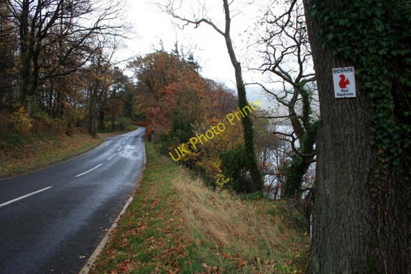 Photo 6"x4" The A 592 by Ullswater Martindale c2008
