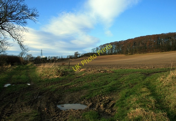 Photo 6"x4" Green Lane and Mary Pannel wood Ledston c2008