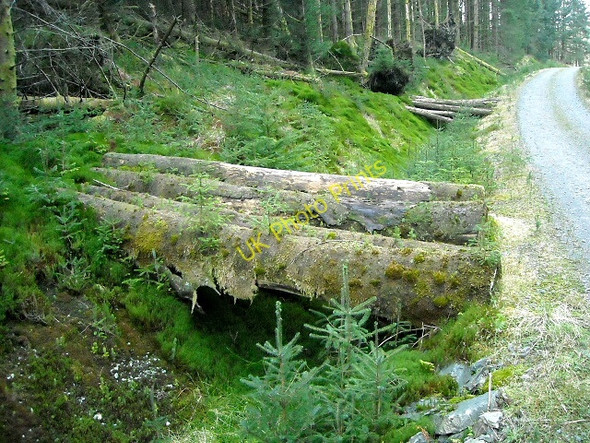 Photo 6"x4" Trackside logs in Loch Ard Forest Bruach Caorainn c2008