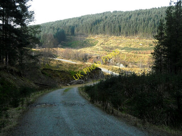 Photo 6"x4" Track in Loch Ard Forest Bruach Caorainn c2008
