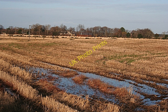 Photo 6"x4" Fields Near Sheriffston Greens of Coxton c2008