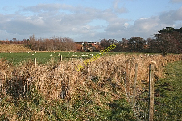 Photo 6"x4" Railway Bridge near Lhanbryde Lhanbryde c2008