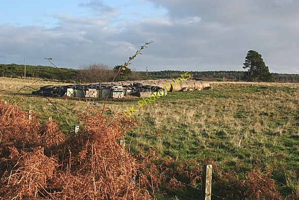 Photo 6"x4" Storage Shelters Sheep Lhanbryde c2008