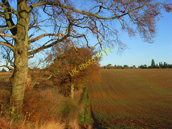 Photo 6"x4" Farmland, Crowsley Crowsley c2008