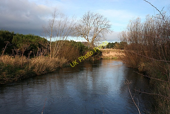 Photo 6"x4" Incised Meander Moss of Barmuckity c2008
