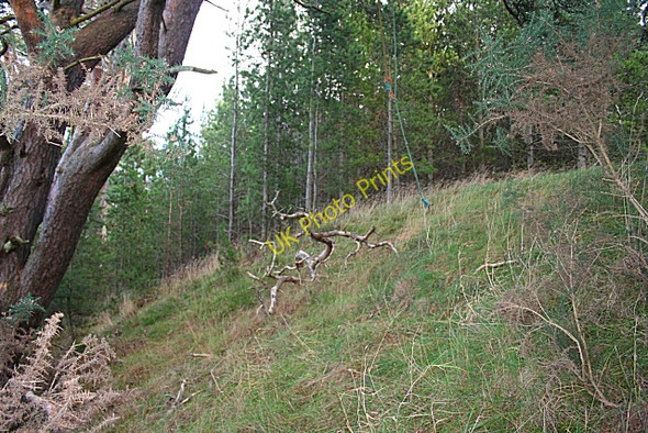 Photo 6"x4" Earthwork at Caysbriggs Windyridge\/NJ2367 c2008