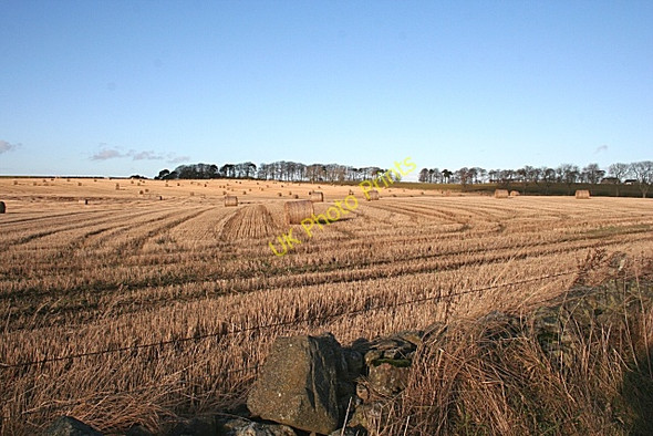 Photo 6"x4" Near Mossfield Damhead\/NJ7326 c2008