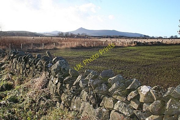 Photo 6"x4" Mossfield and Bennachie Damhead\/NJ7326 c2008